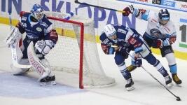 hokej brno